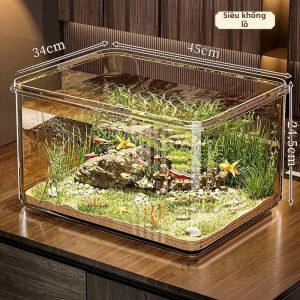 Bơm Oxy Lọc Chế Độ tuần hoàn
