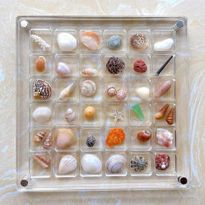 Acrylic Magnetic Seashell Display Box Seashell Display Diamond Storage Box Small Craft Organizers Compartment 36 Grids 2025