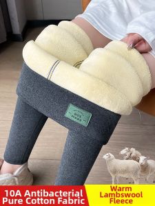 Warm Insulated Trousers
