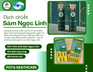 SET 5-10 TUÝP DỊCH CHIẾT SÂM NGỌC LINH 20ML. CAM KẾT phát hiện không đúng sâm Ngọc Linh trồng tại Nam Trà My Quảng Nam đền gấp 10 lần
