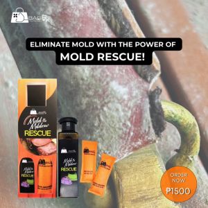 BagRx Mold and Mildew Rescue