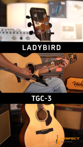 LadyBird TGC-3 กีตาร์โปร่ง Lady Bird TGC3 พร้อม ปิ๊ก ประแจ กระเป๋า หน้าไม้ Top Solid