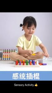 Montessori Cylinder Socket Blocks Board Game /Wooden Toys/ Color Sorting/ Fine Motor skills Early Learning Toy