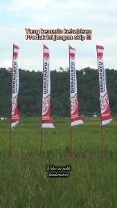 (BANDIR) UMBUL UMBUL NKRI 25METER