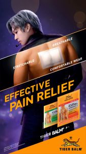 Tiger Balm Plasters Warm Small 7cm x 10cm (2 Plasters Per Pack) | Muscle Pain Relief/Back Pain/肌肉酸痛/背痛/缓解疼痛