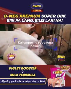 Booster+Milk Formula 1kg for PIGLETS Bmeg Super Biik