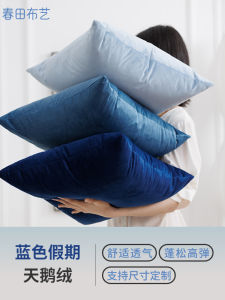 Modern Blue Velvet Pillowcase Non-Core Nordic Luxury Sofa Living Room Square Shape Pure Color Pattern Home Fabric Cushion Cover