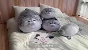 20-60CM Seal Plushie Pillow Plush Toy Cartoon Cute Marine Life Soft Comfort Sleep Plushie Stuffed Toys Doll Birthday Kids Gift