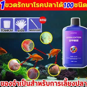 1 หยดลงในน้ำ โรคปลาหายไปหมด ยารักษาโรคปลา 1050ml จุลินทรีบ่อปลา ให้ปลามีสภาพแวดล้อมที่มั่นคงในระยะยาว ตู้ปลา ดับกลิ่น แก้ทุกปัญหาสุขภาพของปลา จุลินทรีตู้ปลา สลายขี้ปลา แบคทีเรีย บ่อปลา ตู้ปลา ลดตะไคร่ ย่อยของเสีย ยารักษาโรคปลา ปลอดภัยไม่ทำร้ายปลา