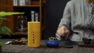 Ceramic Incense Burner Ice Crack Ceramic Insence Holder Sandalwood Agarwood for Yoga Spa 香炉 盘香