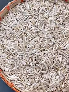 Premium Aksu Long Marrow Melon Seeds 5 lbs