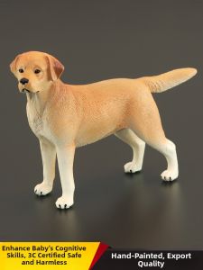 MENGSILE | Educational Toy Dog Model Labrador Retriever