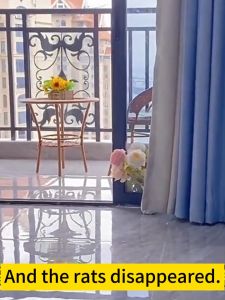 200x more effective than cats 🐀USA Original rat off spray no harm to people and pets Rat repellent for car engine rat spray killer Rat trap killer rat poison killer