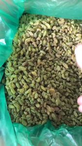 1kg Nho Xanh Không Hạt Ninh Thuận Hàng Loại 1 Chua Ngọt