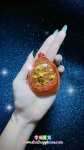 Thai Amulet 耳報鬼護身牌 Prai Karsip Amulet