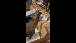 อินเตอร์คูลเลอร์ intercooler ขนาด ยาว 18 นิ้ว สูง 9 นิ้ว กว้าง 2.5 นิ้ว หลอดเหลี่ยม 2 ฟินซ้อน (460*230*65)(18*9*2.5 นิ้ว)