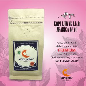 Kopi Luwak Liar Asli Arabika Gayo Premium 100gr Bubuk dan Roasted Bean