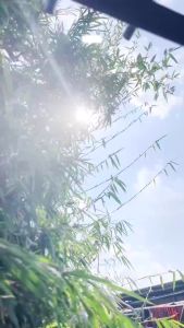 Couple batik keluarga ayah ibu dan anak motif terlaris