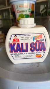 CỨNG CÂY NGỌT TRÁI- KALI SỮA ( NHẬP ISRAEL)