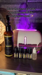 Best Fragrance Oil in PH - Aromatherapy Grade Water Soluble for Diffusers & Humidifiers - Fast Delivery