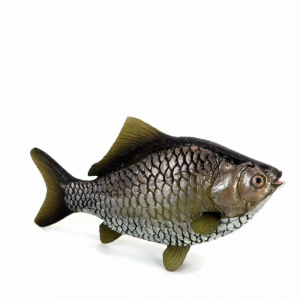 Simulated Piranha Carp Mudskipper Pufferfish Carp Toy Models