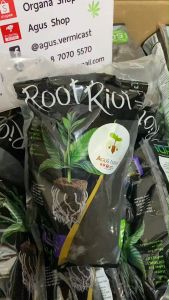 ชุดกิ่ง 50 ชิ้น Root Riot ถุงเพาะ เมล็ด นำเข้าจาก USA กล้า clone รูทไรออท เม็ด งอก ปัก ควบแน่น ทริมดอก