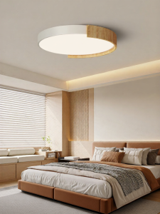 DGY | Minimalist Round Eye-protection Bedroom Light