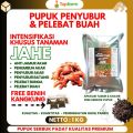 Pupuk Khusus Tanaman Jahe / Pupuk Pembesar Umbi Jahe / Pupuk Untuk Tanaman Jahe / Pupuk Jahe Umbi Besar / Pupuk Jahe Merah / Pupuk Penyubur Tanaman Jahe. 