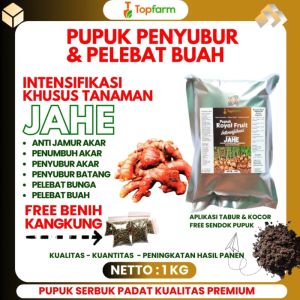 Pupuk Khusus Tanaman Jahe / Pupuk Pembesar Umbi Jahe / Pupuk Untuk Tanaman Jahe / Pupuk Jahe Umbi Besar / Pupuk Jahe Merah / Pupuk Penyubur Tanaman Jahe