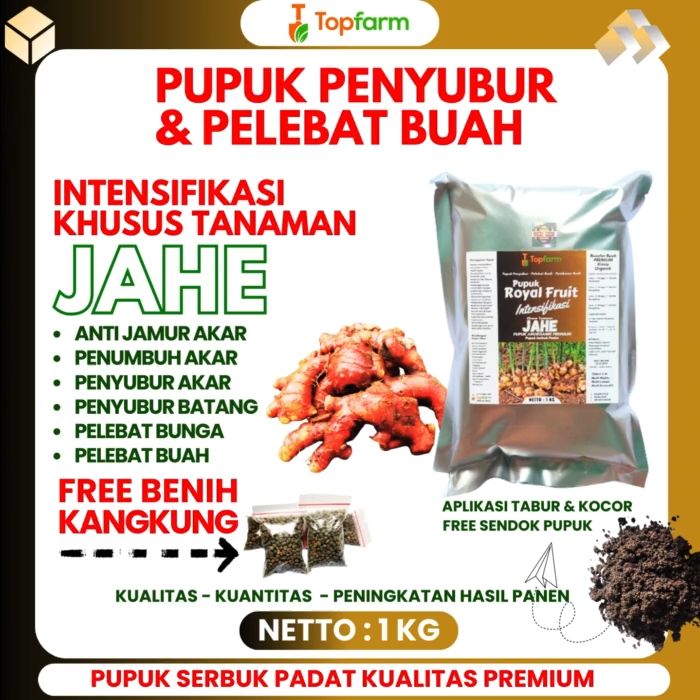 Pupuk Khusus Tanaman Jahe / Pupuk Pembesar Umbi Jahe / Pupuk Untuk Tanaman Jahe / Pupuk Jahe Umbi Besar / Pupuk Jahe Merah / Pupuk Penyubur Tanaman Jahe