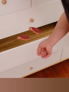 ล่อแมลงสาบ 1คืนฆ่าตายหมด ไล่แมลงสาบ ที่ดักแมลงสาบ เจลกำจัดแมลงสาบ ยาฆ่าแมลงสาบ ใช้ในครัวเรือน ห้องครัว และตามที่ต่างๆๆ