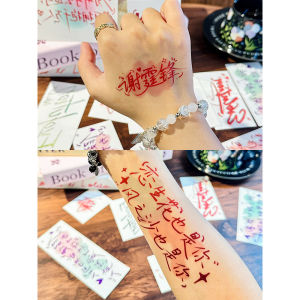 High Quality Waterproof Tattoo Stickers Fan Support Package Concert Theme Excalibur Evolution Singing Live Event Body Art