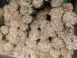 SAPU LIDI DARI AREN MINIM BELI 2 IKAT