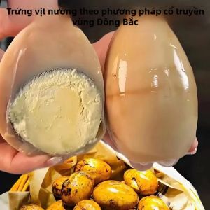 SHAHAOCHI | Northeast Five-Spice Roast Goose Eggs Snack