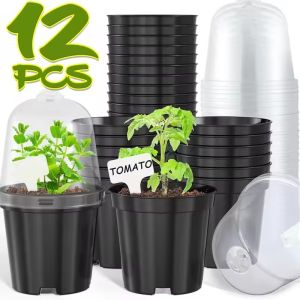 12PCS Plant Seedling Nutrition Cups Starting Grow Cup Flower Plant Container Mini Flowerpot Inside Succulents Gardening Box Planters