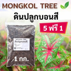 5 ฟรี 1 🔥 ดินปลูกบอนสี 1 กก. ดินบอนสีพร้อมปลูก ใบสด สีสวย กัดสีได้ดี ดินปลูก สูตรพรีเมี่ยม รากเดินดี รับประกันคุณภาพ แข็งแรงโตไว