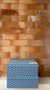 Túi nữ đeo vai + deo chéo TO RY dáng vuông chất xuất xịn siz 25cm*19cm*9cm HA