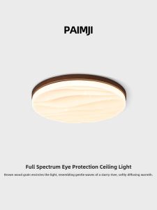 PAIMIJI | Vintage Style Modern Ceiling Light