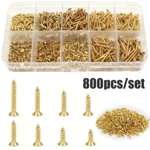 800 Vít Tự Tháo Bằng Đồng Mạ Vàng M2/M2.5 Đầu Dẹt Vít Gỗ Cho Đồ Thủ Công Bằng Gỗ Vintage Hộp Bảo Quản 100 Chiếc