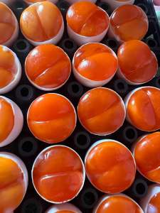 ไข่ครอบไข่แดง3คู่1แพ็คเค็ม มันๆ อร่อยดีค่ะ พร้อมรับประทาน กับส้มตำน้ำพริกหรือข้าวต้ม หรือทำเมนูยำก็เด็ดมากค่ะ ทำจากไข่แดงไข่เป็ดค่ะ ทำสดใหม่เรื่อยๆค่ะ แพ็คถุงสุญญากาศอย่างดีค่ะ