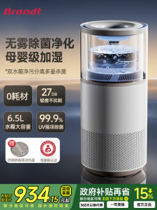 Brandt White Lang No Fog Humidifier Home Use Pregnant Mother Baby Bedroom Air Purification Humidifier Integrated Machine