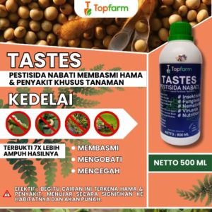 Obat Pembasmi Ulat Kacang & Hama Tanaman Kedelai