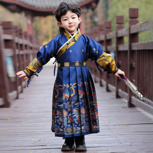 Elegant Traditional Hanfu Childrens Clothing for Boys Ming Dynasty Style Martial Arts Wind Tang Suit Horse Tail Skirt Classic Flying Fish Suit