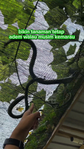 INFARM - Jaring Paranet 99% Jaring Pelindung Sinar Matahari Anti UV Eceran Ukuran 3x4 Meter Premium