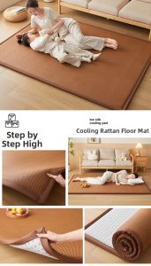 ZTION | All-In-One Thickened Summer Floor Mat