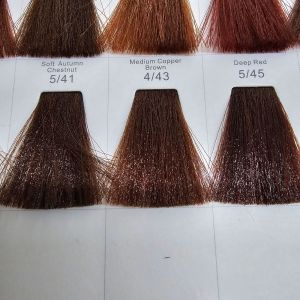 【Free Peroxide+full set tool】Piaobisi/Gzfacai Hair Dye Pewarna Rambut Hair saloon碧丝/发彩染膏高品质发廊专用染膏染发剂 Hair Colouring Colour Cream流行色染发膏奶茶灰棕色