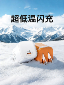 TAOWANTONG | 45W Fast Charging Adapter Type-C