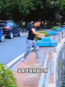 Menghitung Pegangan 5-60kg Bola Kekuatan Pergelangan Tangan Pria Profesional Kekuatan Tangan Kekuatan Otot Lengan Kekuatan Jari Pelatih Rehabilitasi Kebugaran