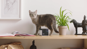 BIOTA Petcube Play 2 - Camera Laser Kucing - CCTV Bermain Kucing Anabul