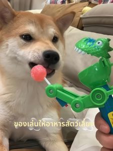 LOKCAN | Freeze-Dried Pet Feeder Treat Intelligent Toy Candy for Dogs and Cats